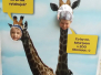 Celodenní výlet do ZOO