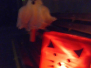 Halloween 18