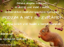 muzikoterapie 23
