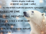 muzikoterapie medvěd 24