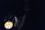 122976212_363474711575406_5461059881839343509_n