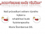 Reha Letovice